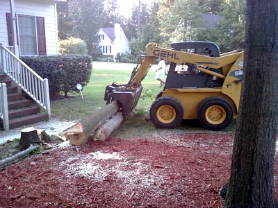 Skid steer removing logs